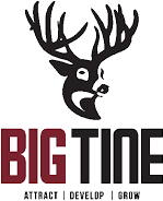 Big Tine