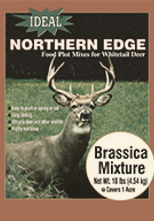 Ideal Northern Edge Brassica Mixture