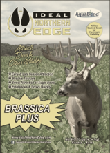 Ideal Northern Edge Brassica Plus