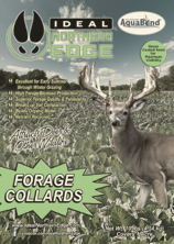 Ideal Northern Edge Forage Collards